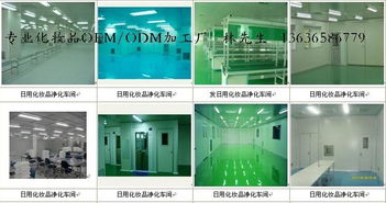 上海市家居用品與化妝品加工產業的發展與機遇